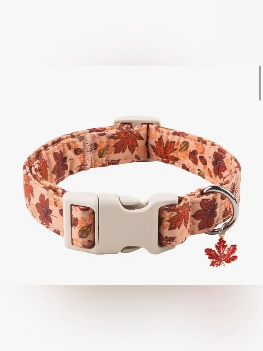 Autumn Leaf Print Dog Collar. Adjustable. Leaf charm. X Small. Last one.